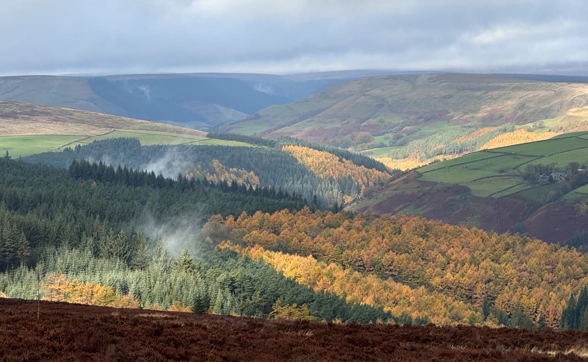 A view of hilltops and valleys with autumn trees and morning mist