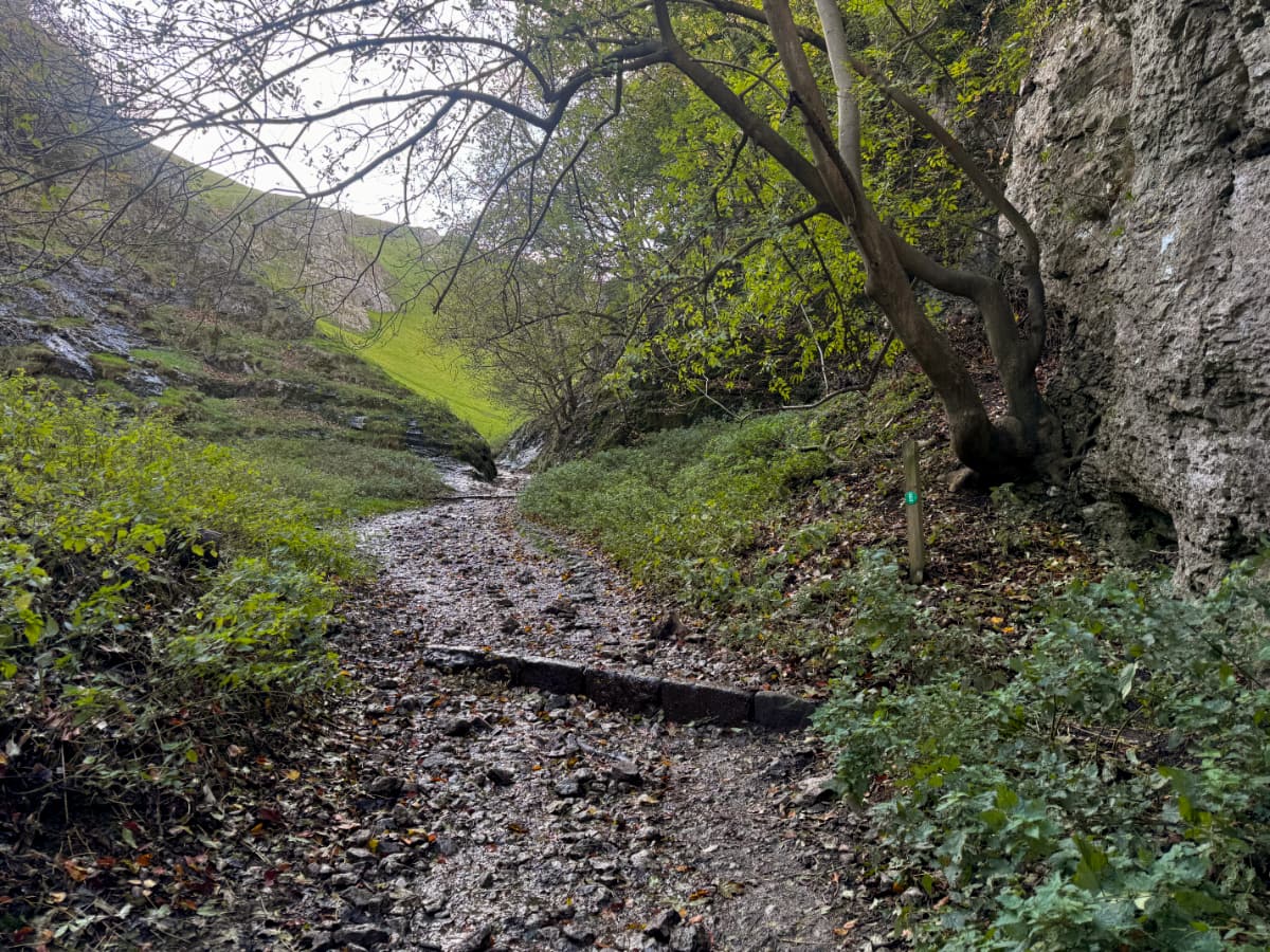 A path beneath a tree by a cliff face. Green slopes in the distance.