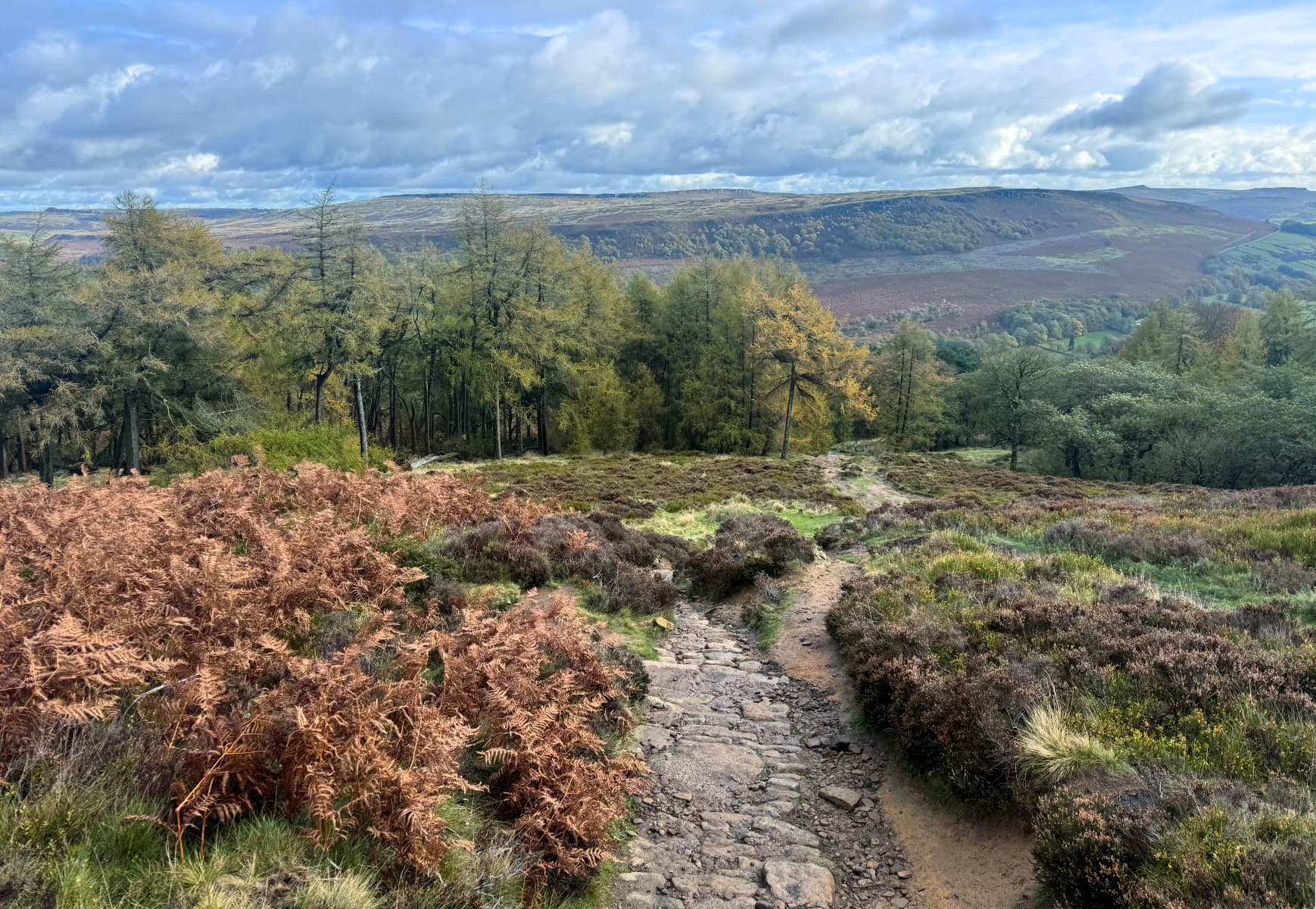 a stone trail leads downhill into the forest