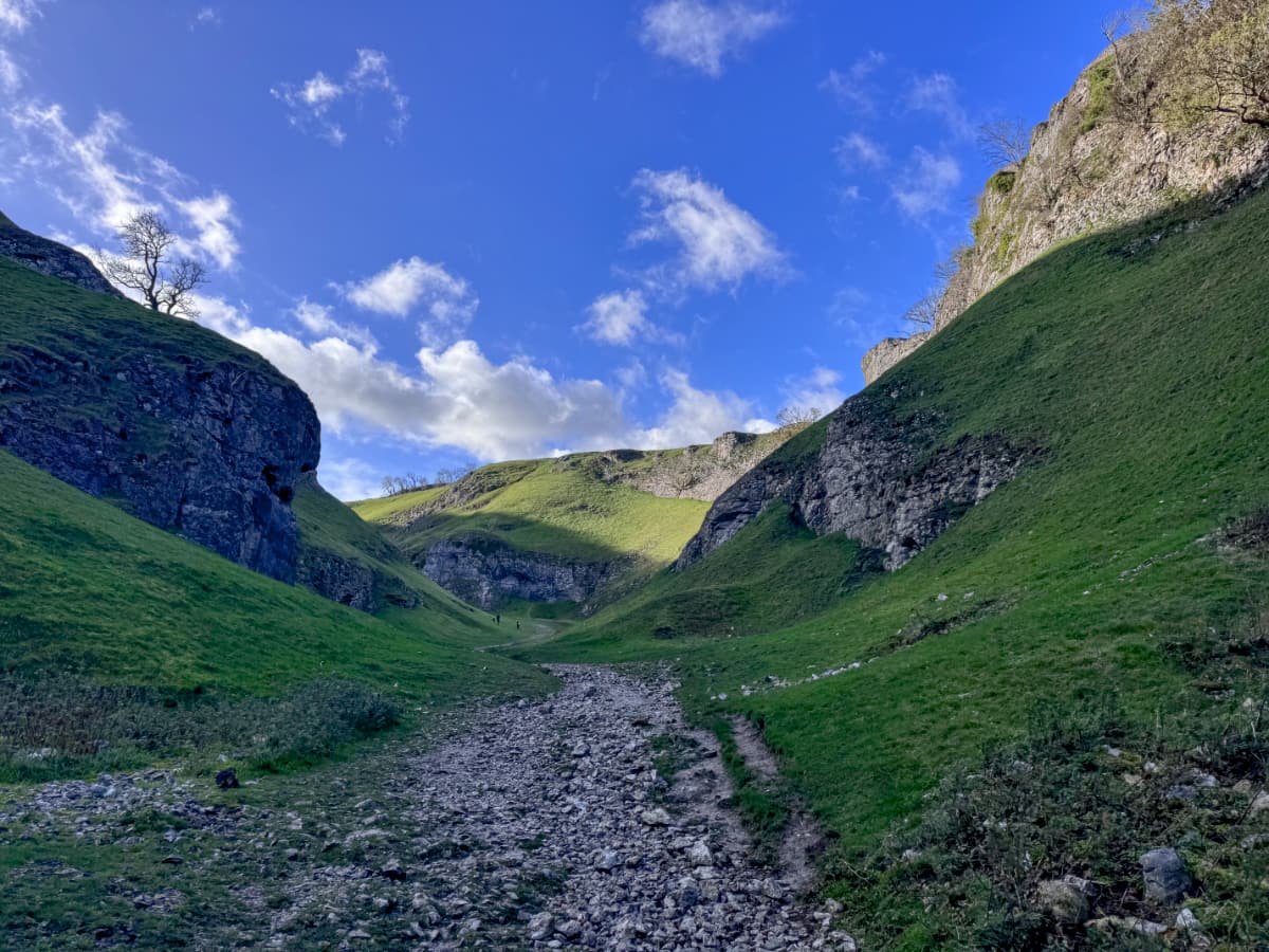 The rocky green slopes of Cave Vale, with a tree silhouetted atop a cliff