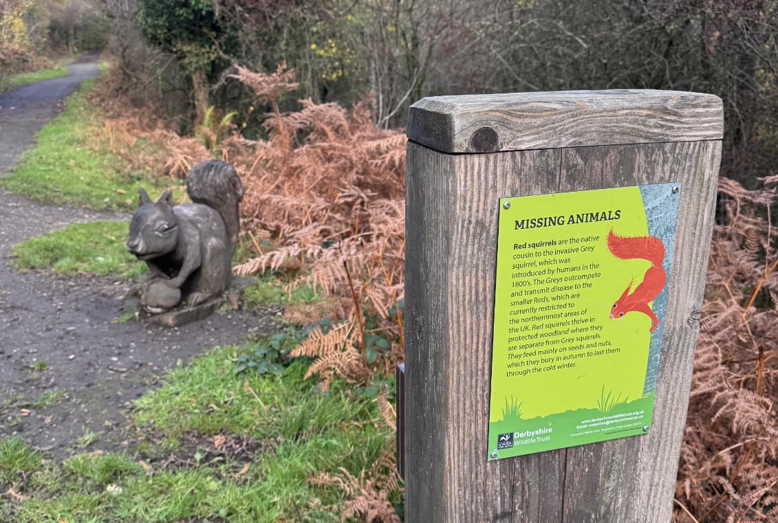 An interpretive sign highlighting the red squirrels as a missing animal, alongside a wooden statue of a red squirrel