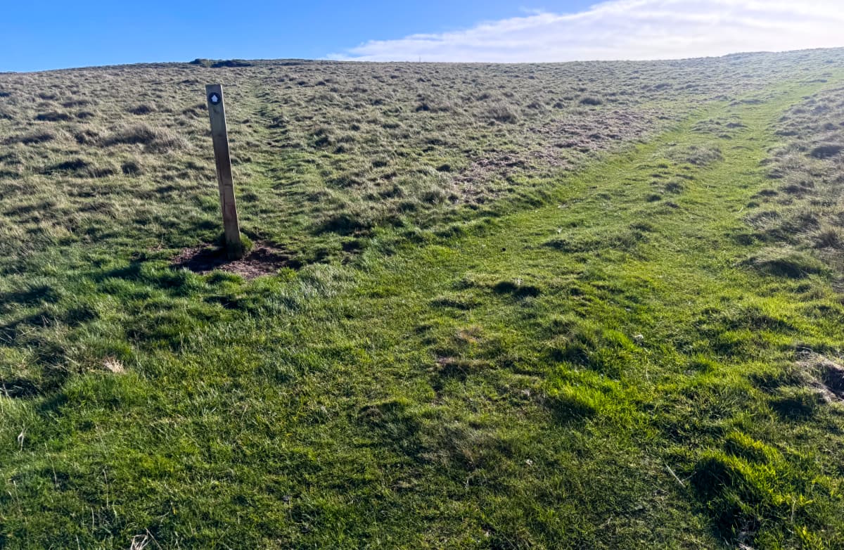 A featureless grassy hilltop moor with a single guidepost