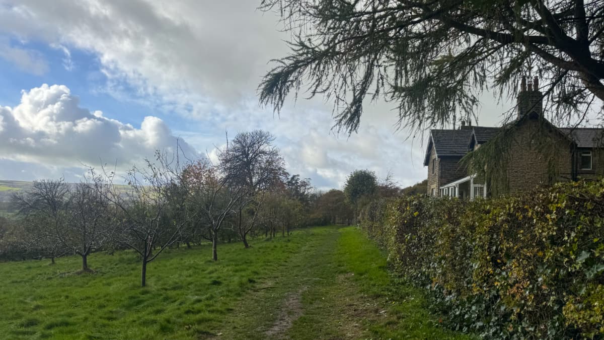 A manor house by an apple orchard in the Peak District