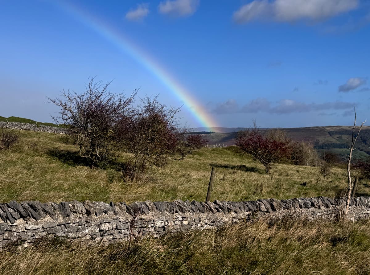 A vivid rainbow against a blue sky behind a small orchard on a hillside