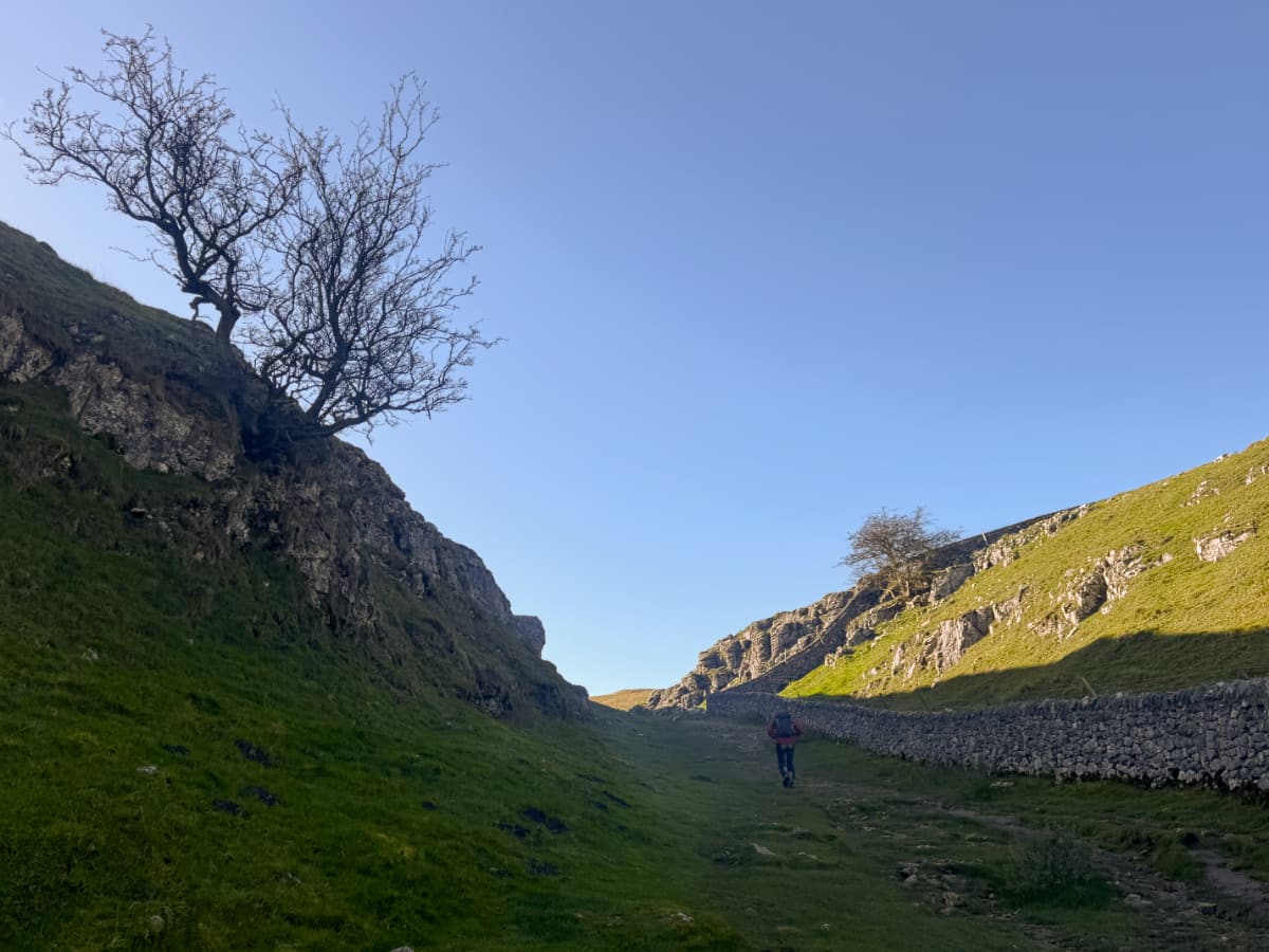 Dramatic trees silhouetted against the sky on the cliffs above upper Cave Vale