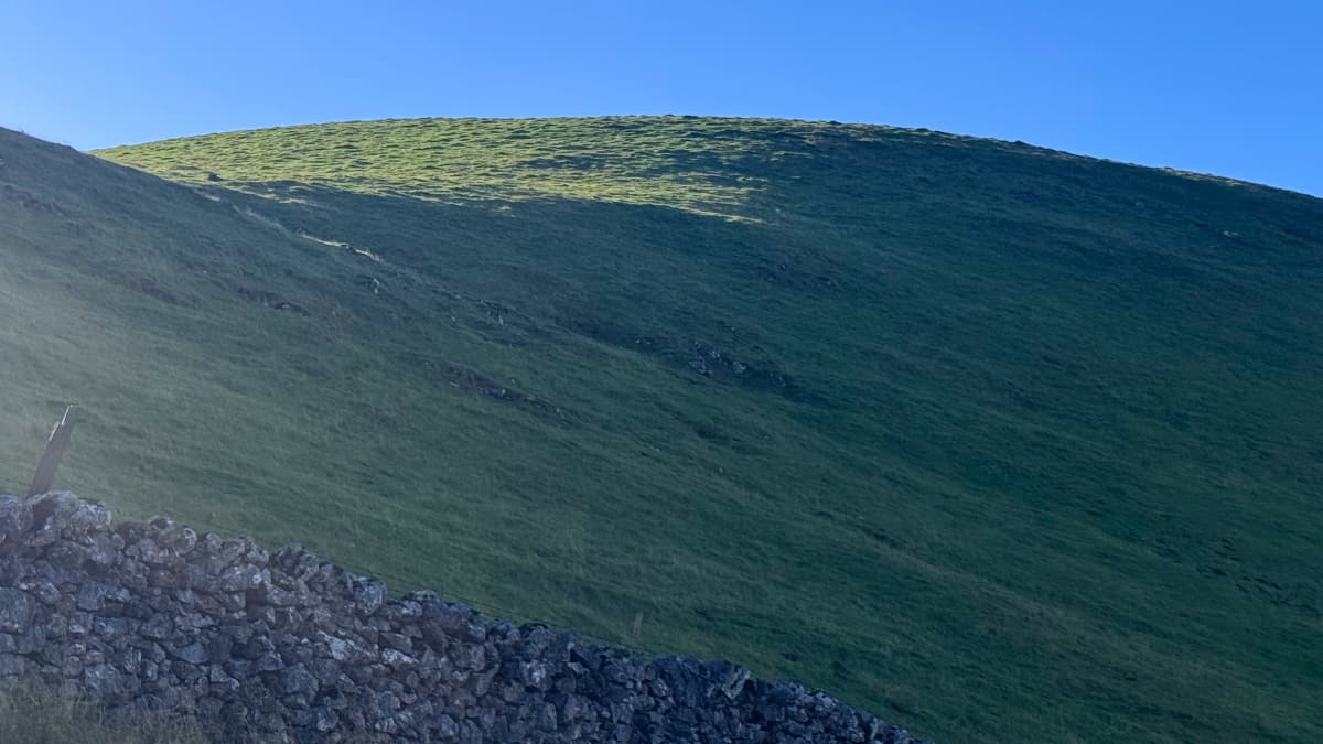 A rounded grassy hillside with sunlight on just the top left edges